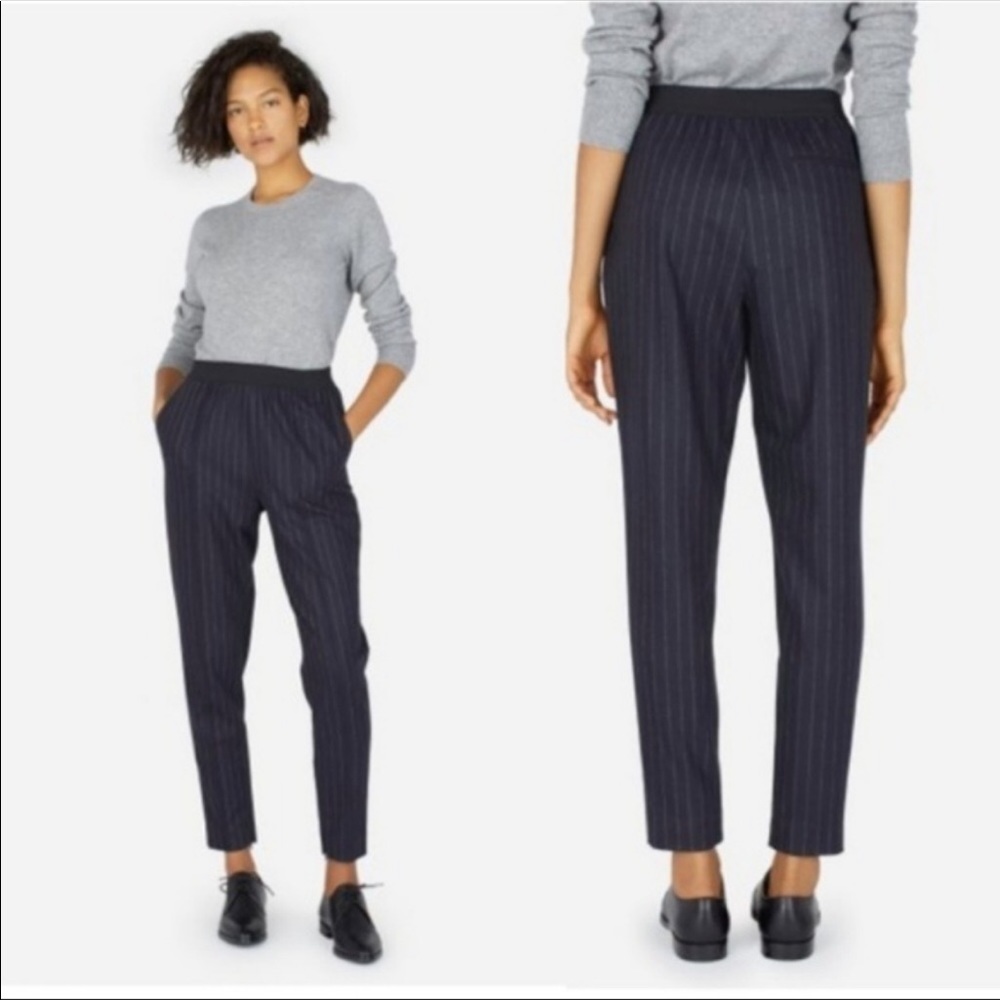 Everlane Premium wool Flannel Pinstripes Pants 8